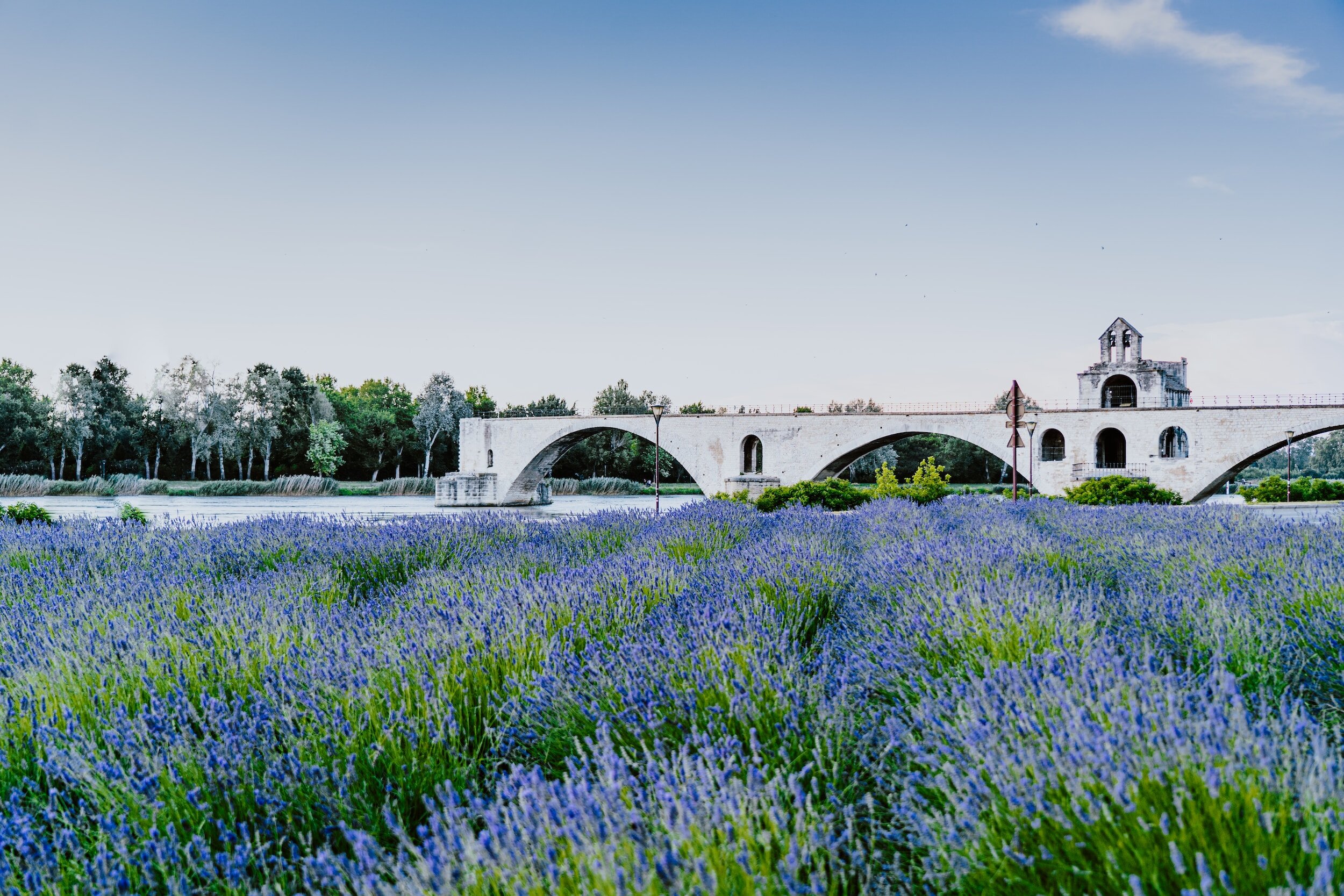 A Day in Avignon: Exploring the Heart of Provence with Passports
