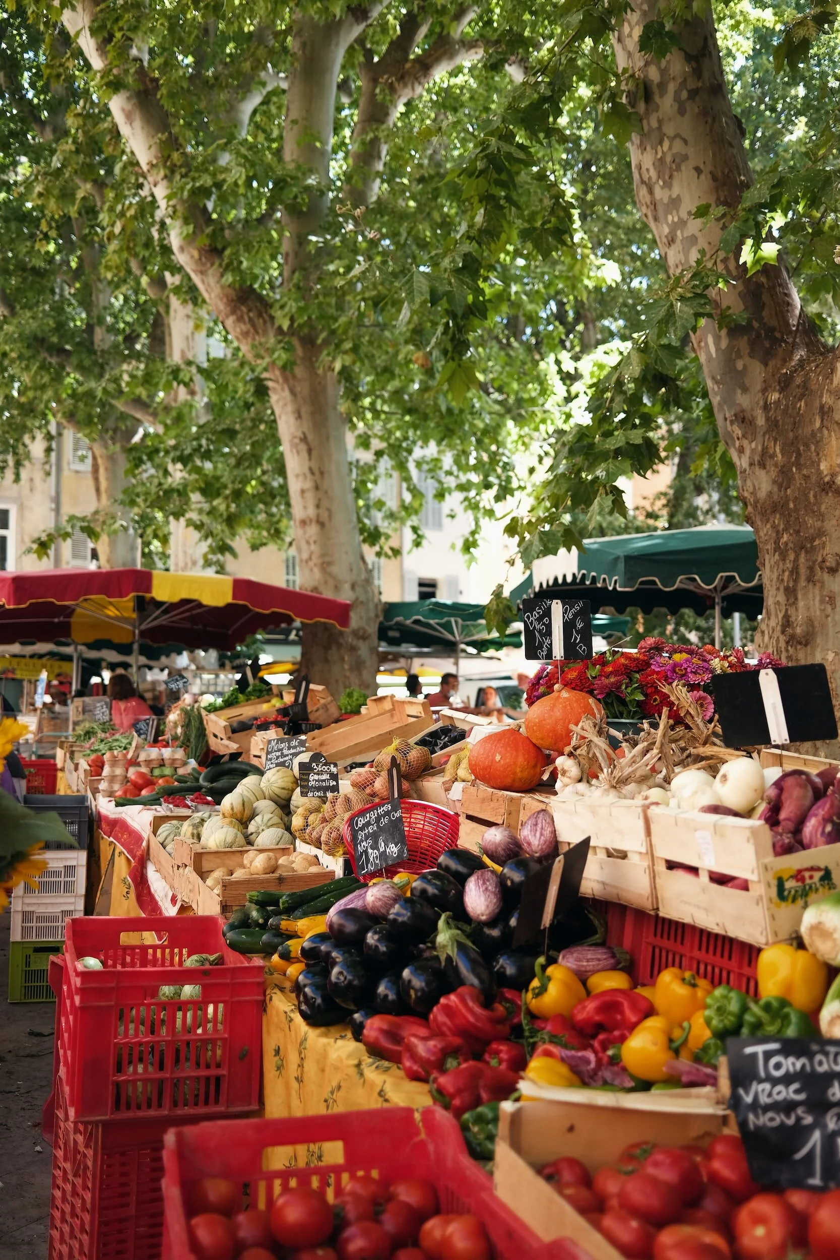 Aix-en-Provence Walking Tour | Cultural Immersion Experience