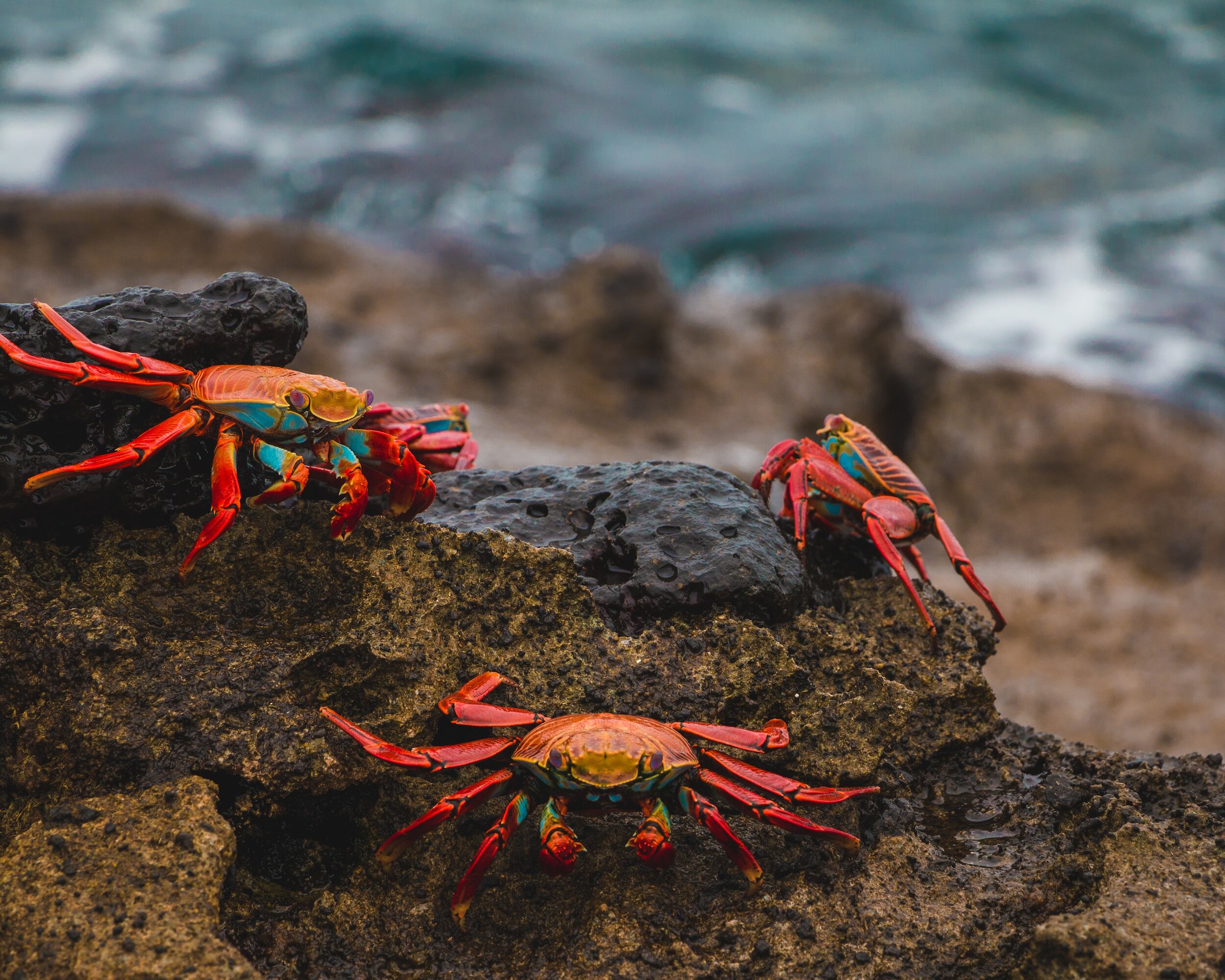 Discovering Science Through Travel: Top Destinations for Student Scientists