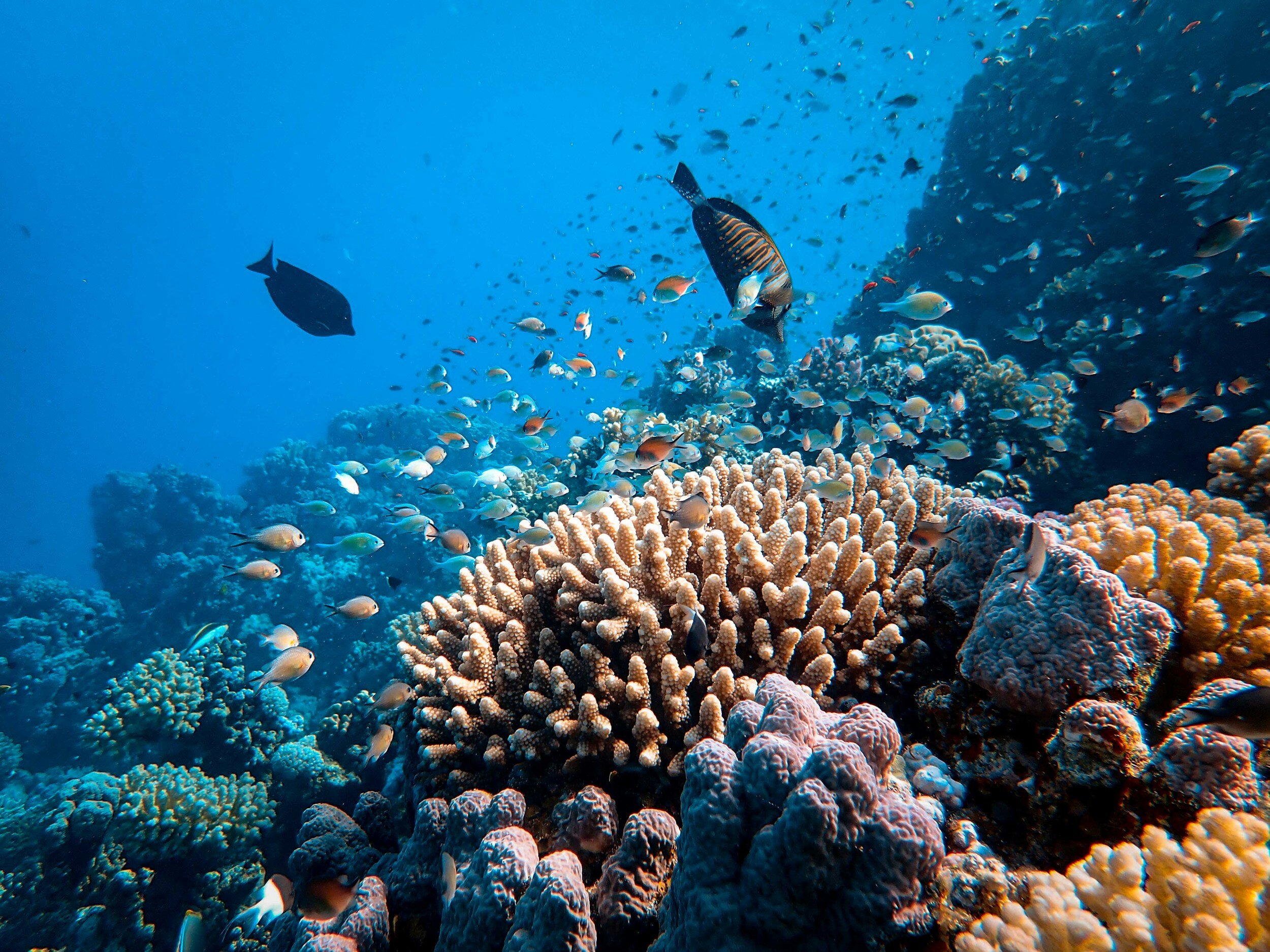 Discovering Science Through Travel: Top Destinations for Student Scientists