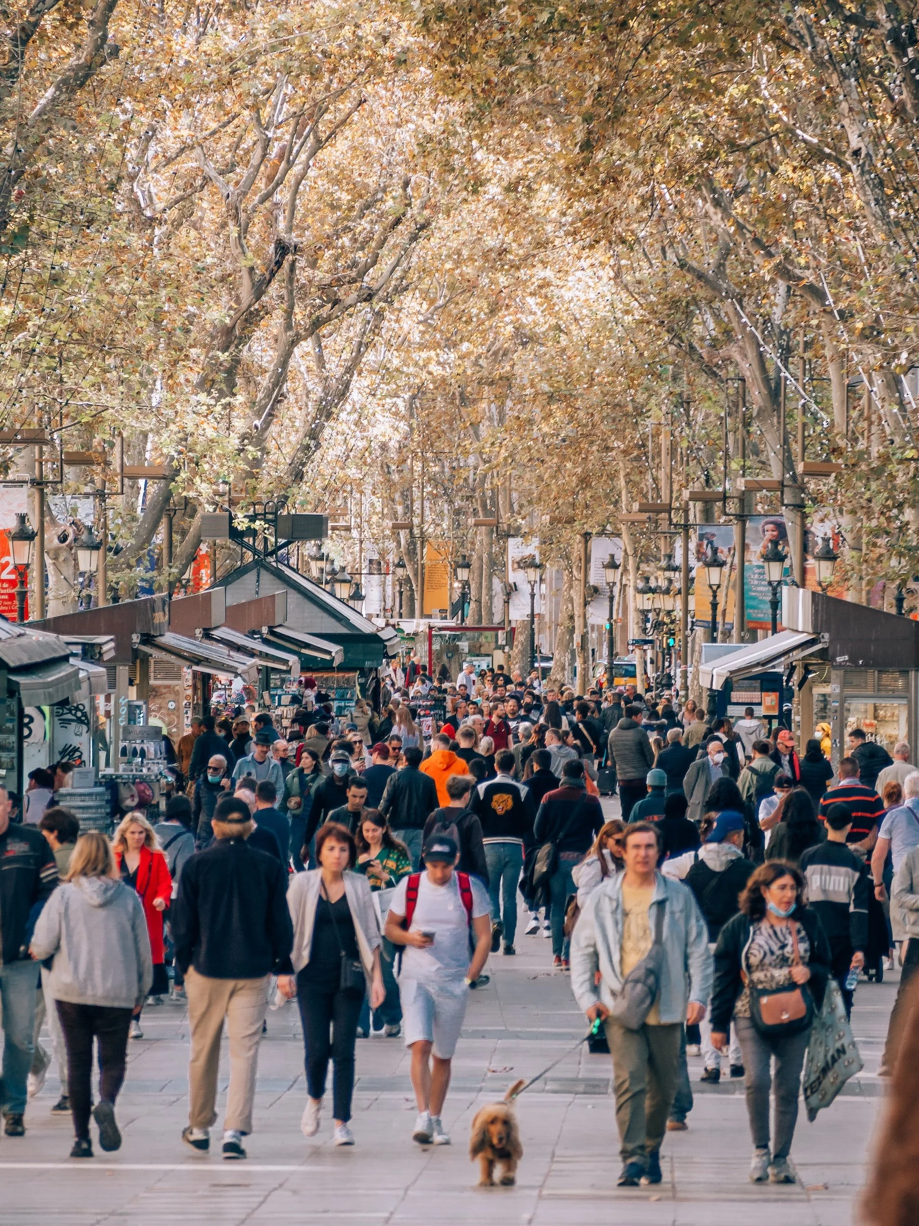 Walking Tour Spotlight:  Las Ramblas