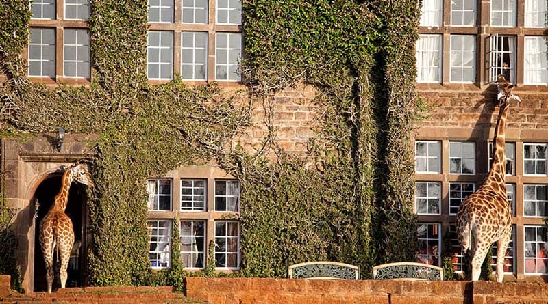 6 of the Coolest Hotels in the World