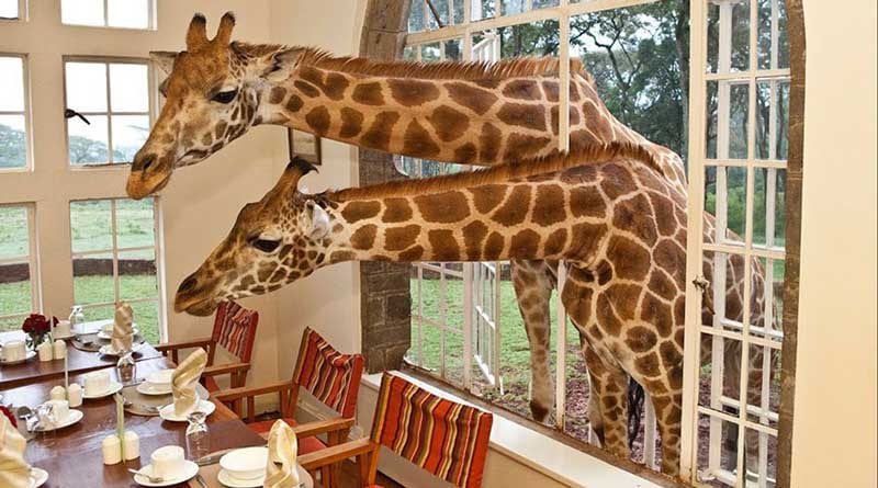 6 of the Coolest Hotels in the World