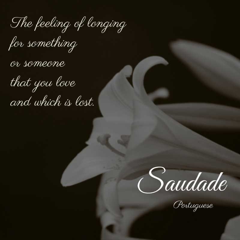 Untranslatable Words We Need in English