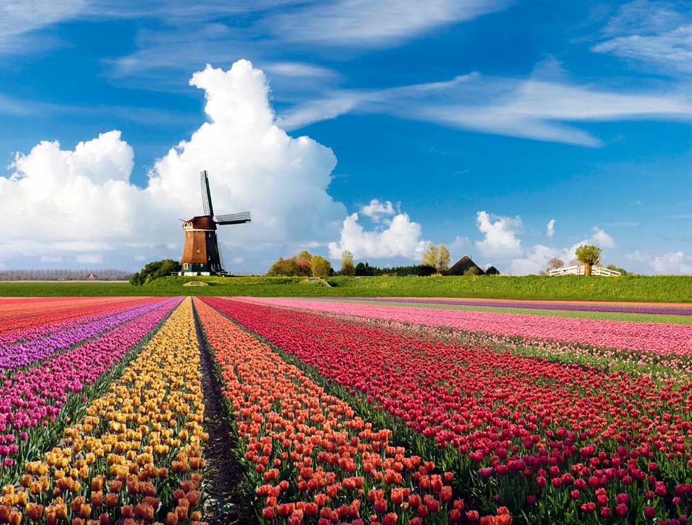 Show Your Students the Venice of the North