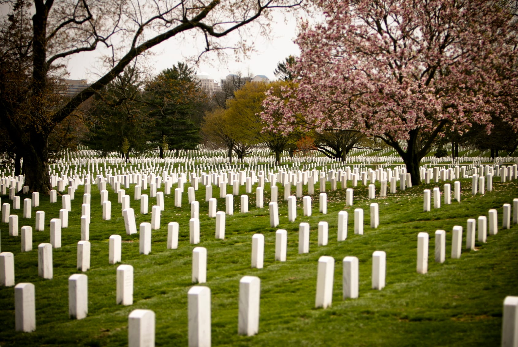 Arlington National Cemetery